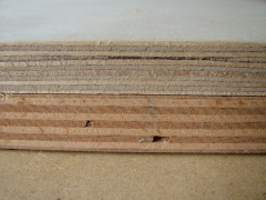 Buche-Birke MPX Kante1